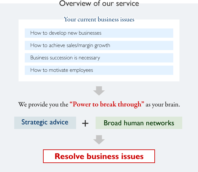 Overview of our service